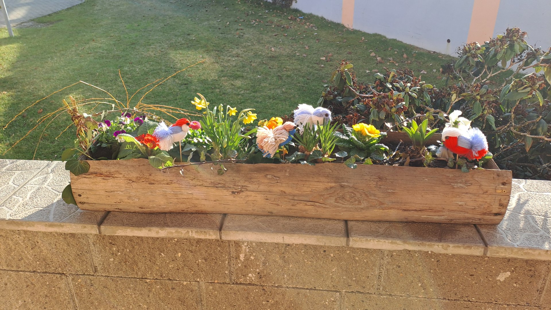 Měnič obrázků - fotografie