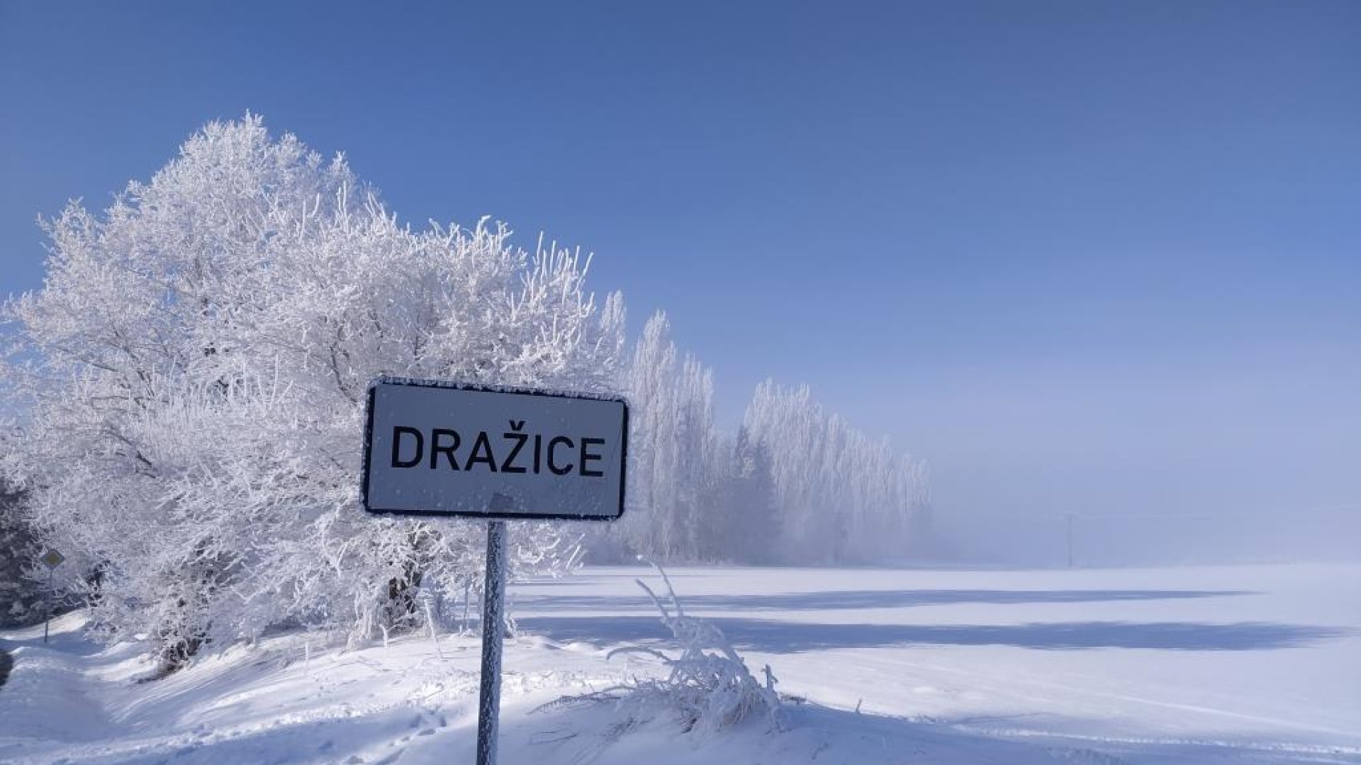 Měnič obrázků - fotografie