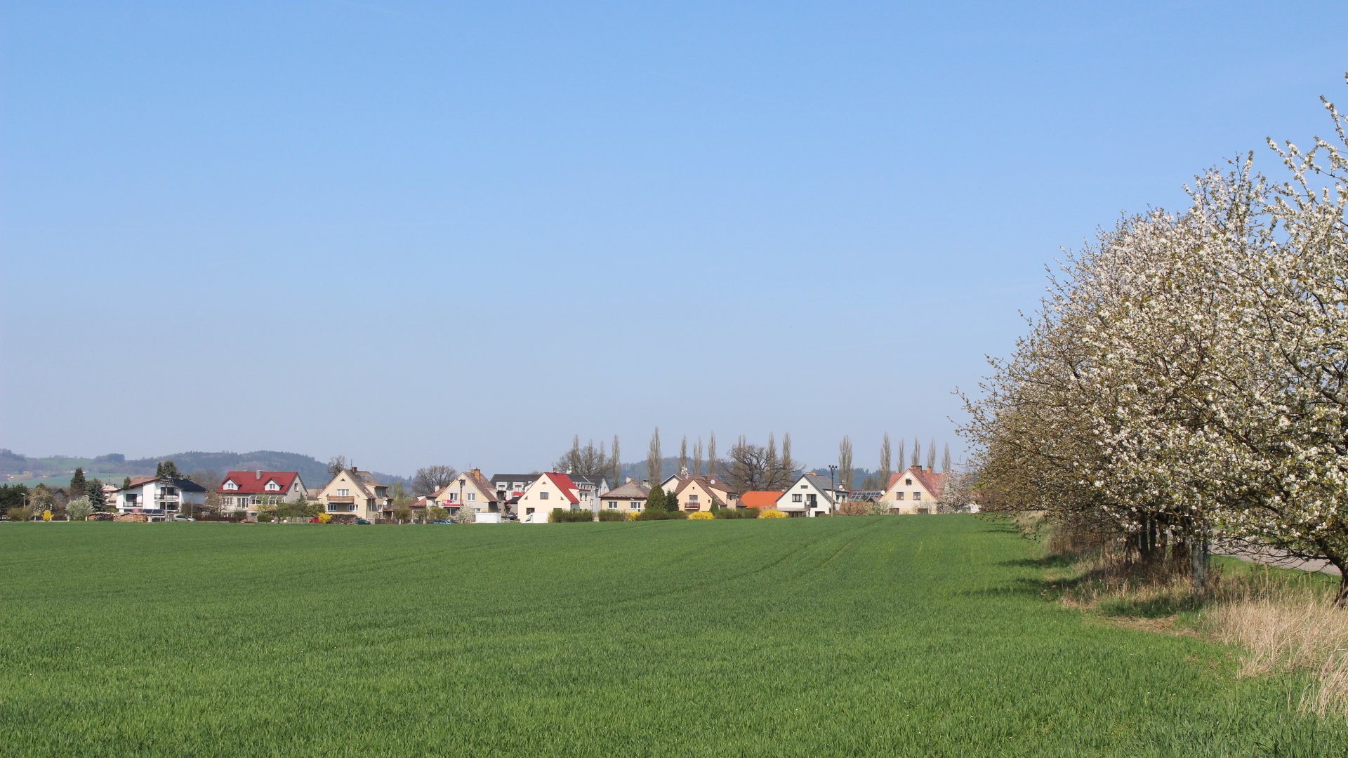 Měnič obrázků - fotografie