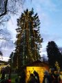 Rozsvícení vánočního stromu a adventní jarmark