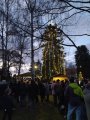 Rozsvícení vánočního stromu a adventní jarmark