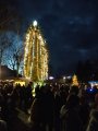 Rozsvícení vánočního stromu a adventní jarmark