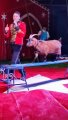 Cirkus
