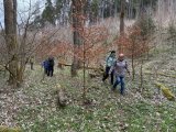 2. ročník Dražického putování k Jelení skále